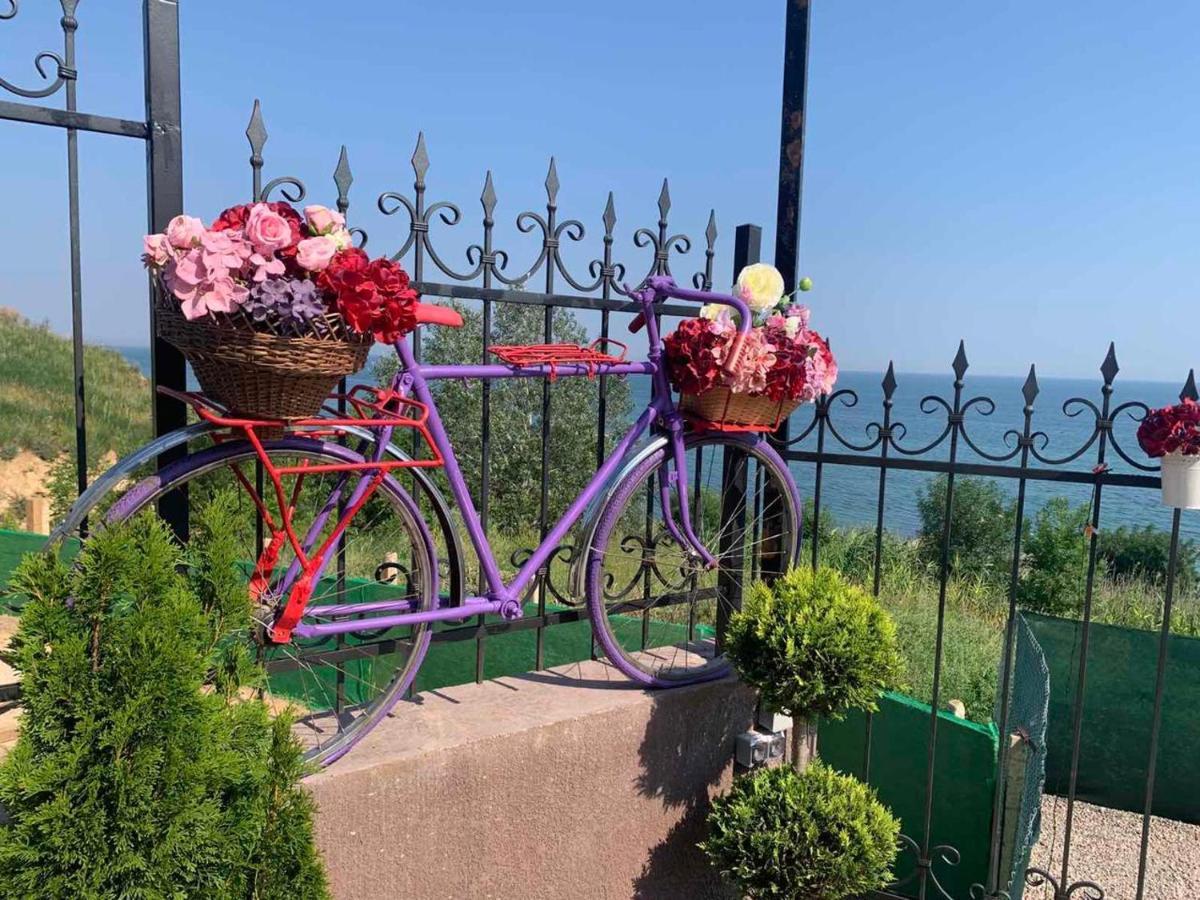 Flower Breeze Chebanka Extérieur photo
