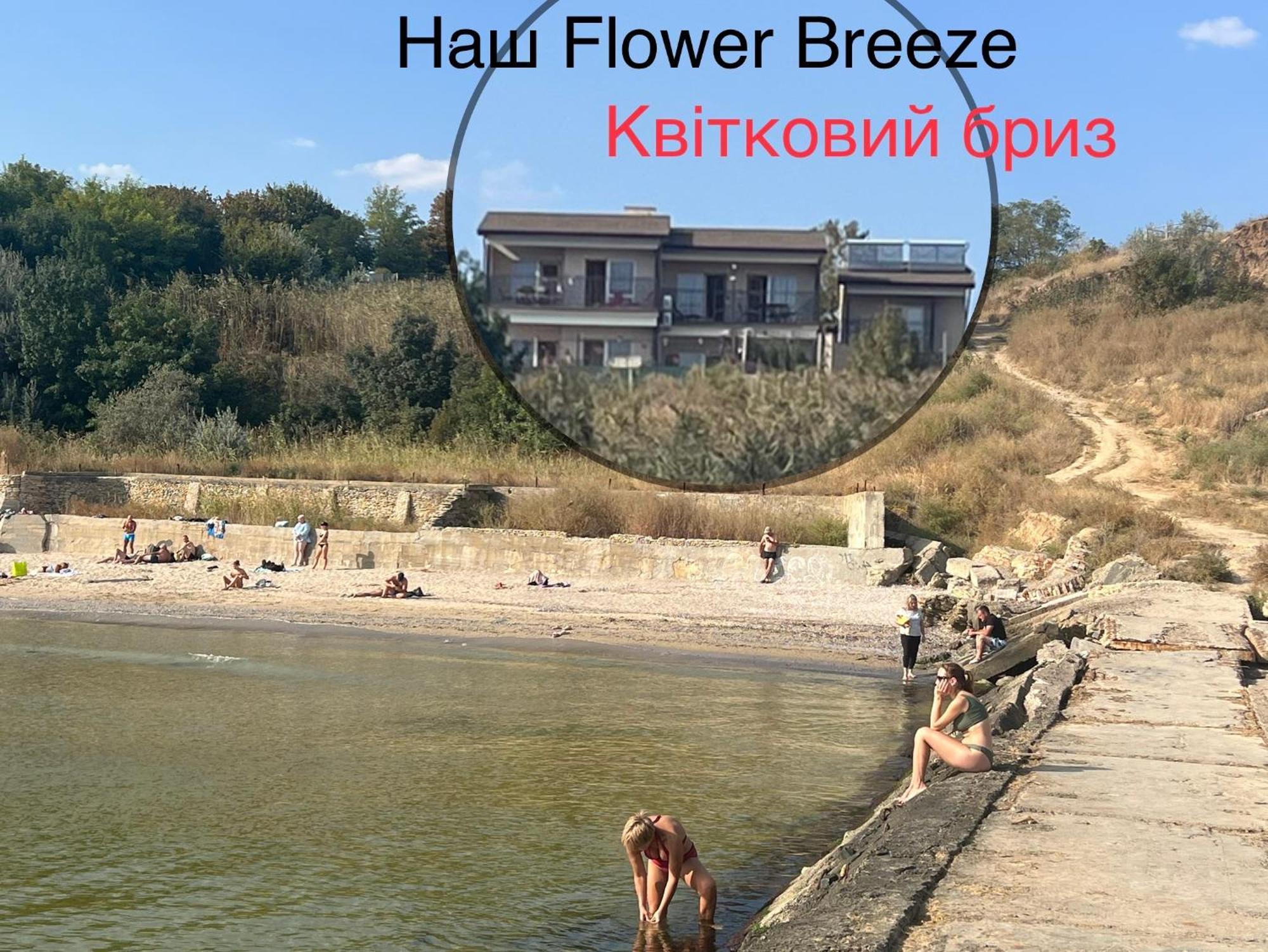 Flower Breeze Chebanka Extérieur photo